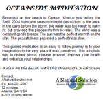 This guided meditation is an easy to follow journey in to your imagination. It is a holistic way to reduce stress, release emotion, improve your health and enhance your relationships.